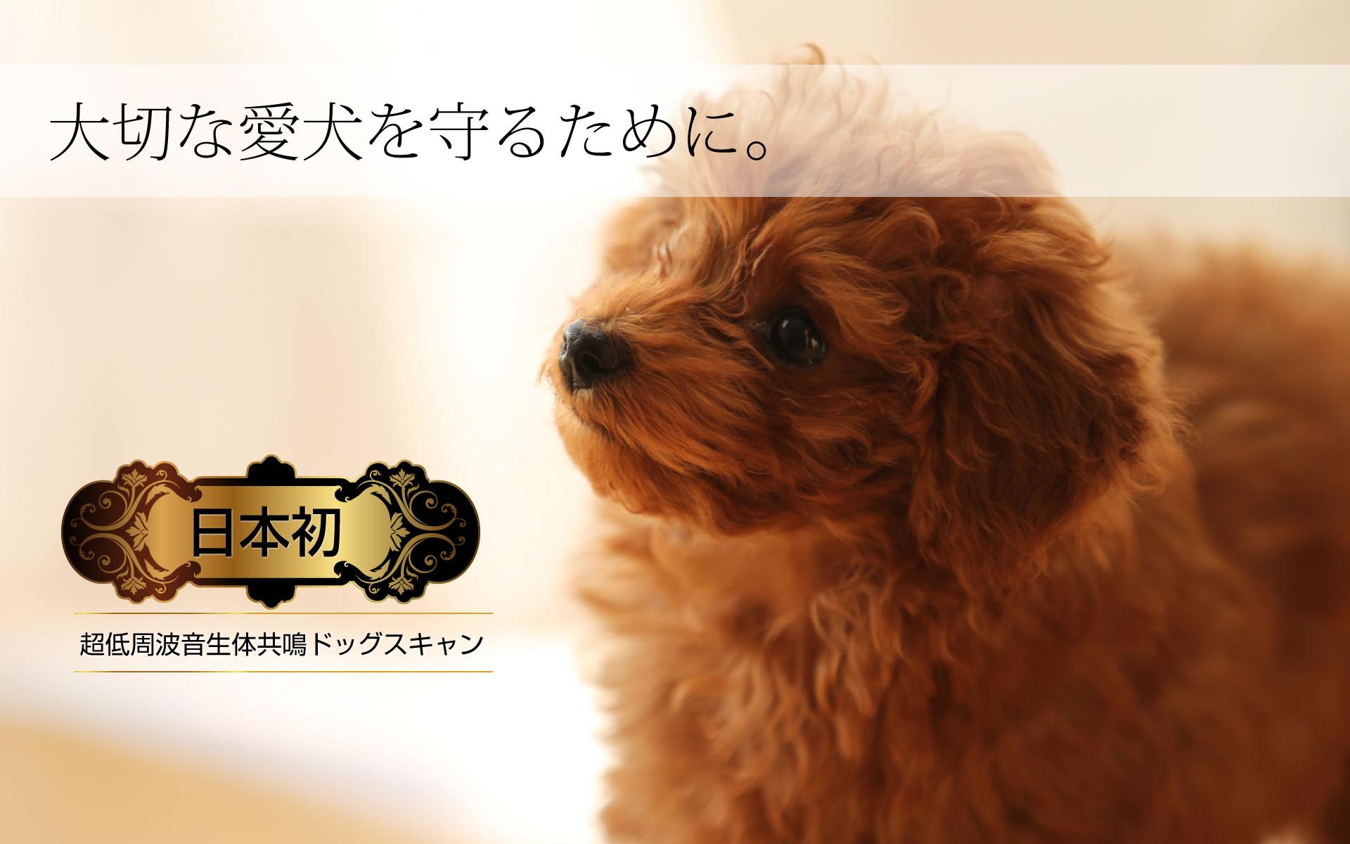 犬用健康器具「ドッグスキャン」
