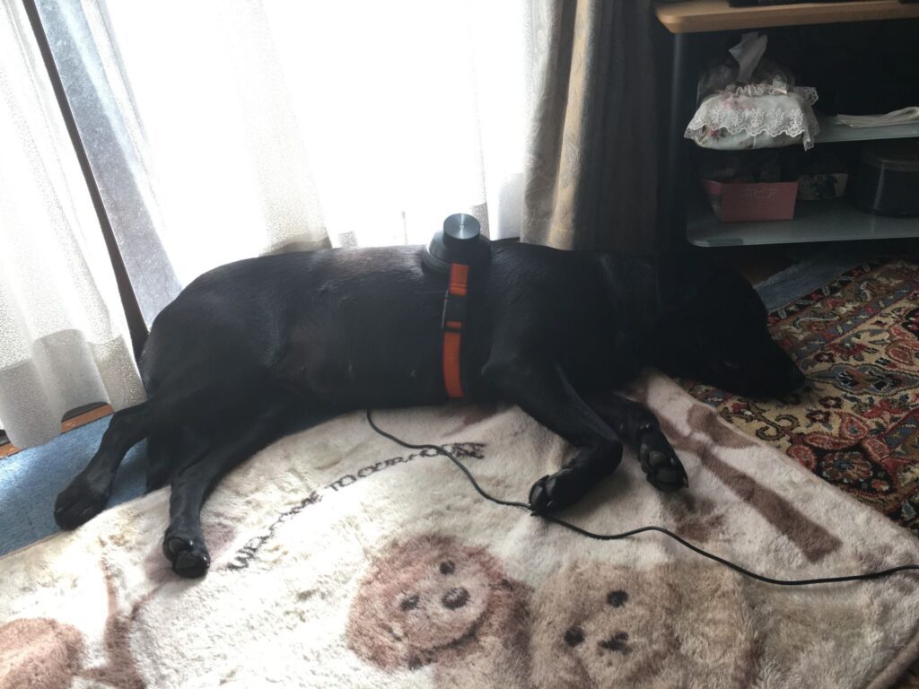 眠た過ぎる～もうダメ