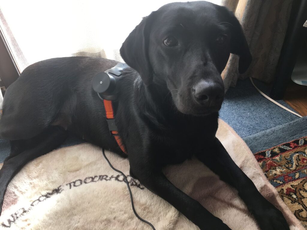 気持ちいいなぁ～